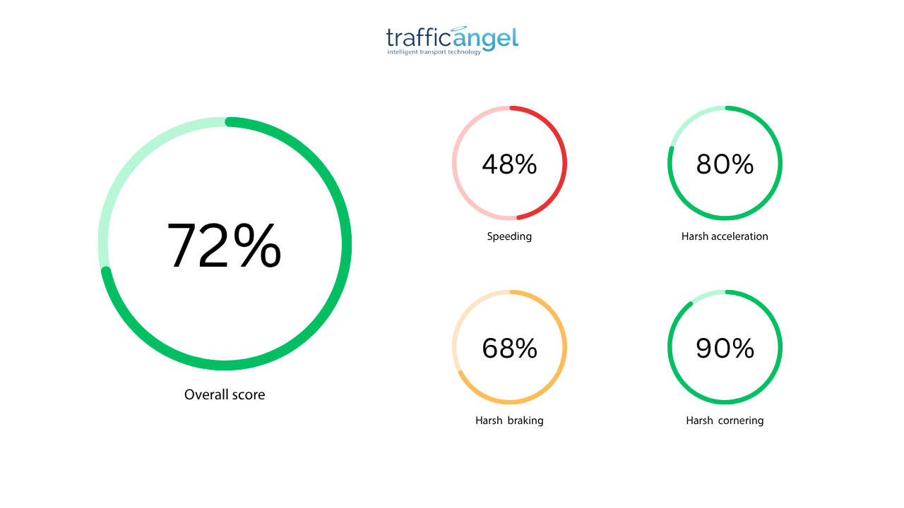 Driver behaviour insights within a vehicle tracking system
